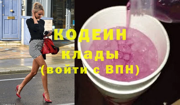 ПСИЛОЦИБИНОВЫЕ ГРИБЫ Арсеньев